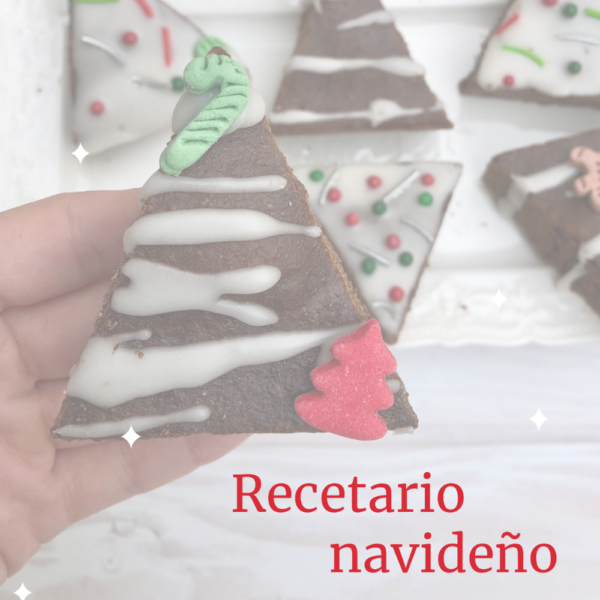 Recetario Navideño